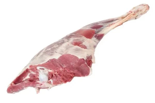 Baby Goat Leg
