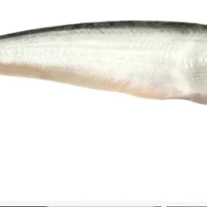 PABDA FISH BLOCK 500 GRAM 10.99/LB